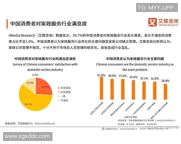 家政服务行业发展现状分析及未来趋势探讨：从家庭需求到专业化服务的转型