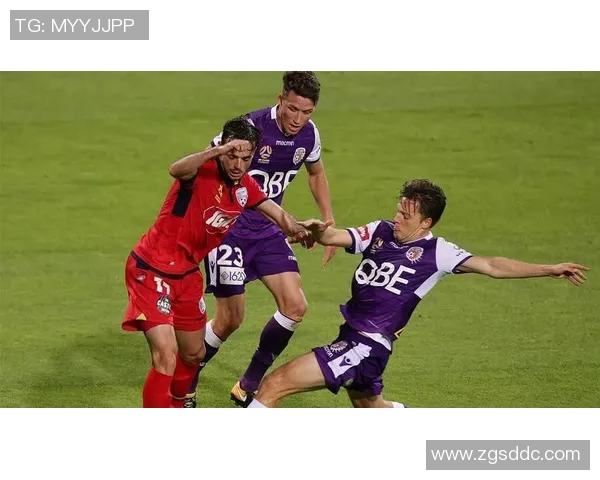 澳甲联赛精彩对决墨尔本迎战阿德莱德全力争胜展现实力