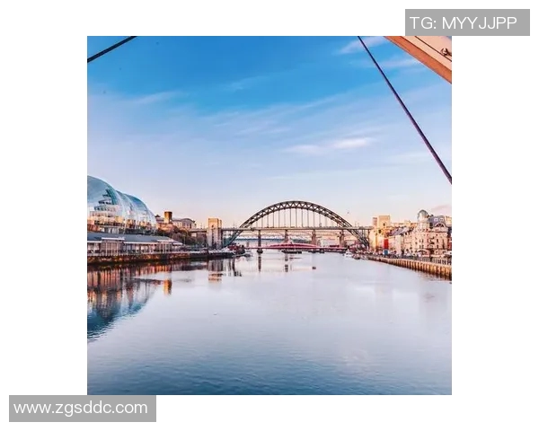 纽卡斯尔城市发展及周边地区经济文化互动的多维探索