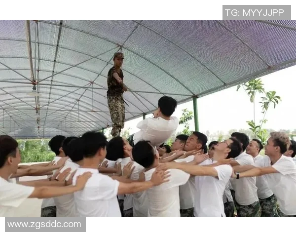 极限运动新手必读：如何在团队中有效协作与提升技能