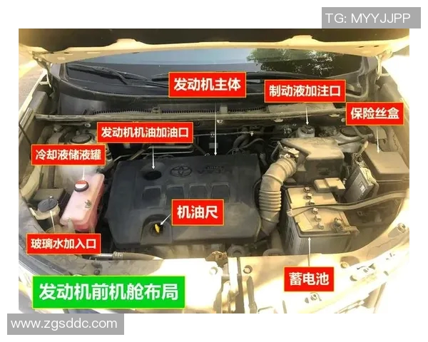 汽车保养全攻略:如何延长爱车使用寿命并提升驾驶体验