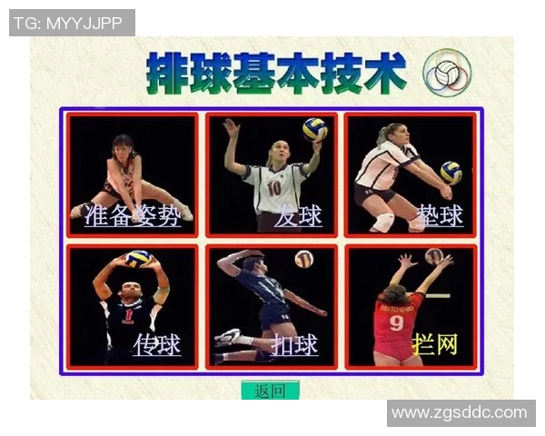 杭州排球队的战术控制与技术分析探讨排球热点新视角