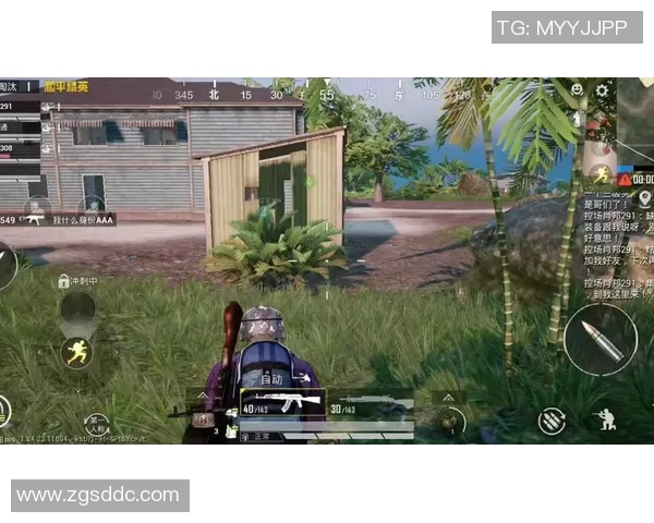 专访和平精英制作人周芳探索游戏成功背后的秘密与策略